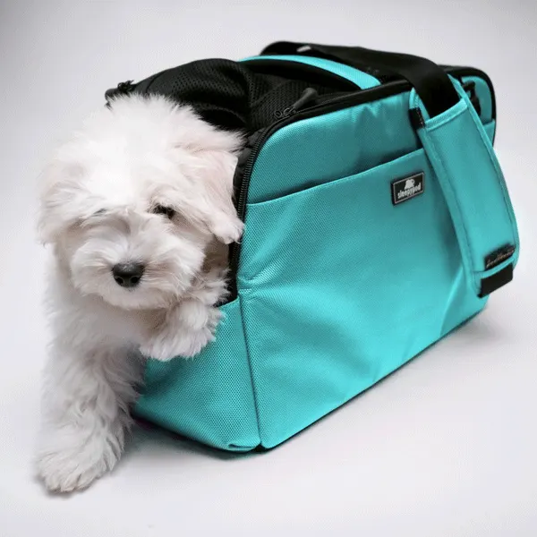 Sleepypod Atom - מנשא לכלבים וחתולים מורשה טיסה ROBIN EGG BLUE