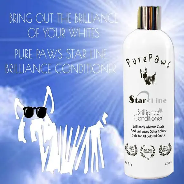 Pure Paws - מרכך ברק והדגשת לבן / וצבעים אחרים Brilliance Conditioner, תמונה 2