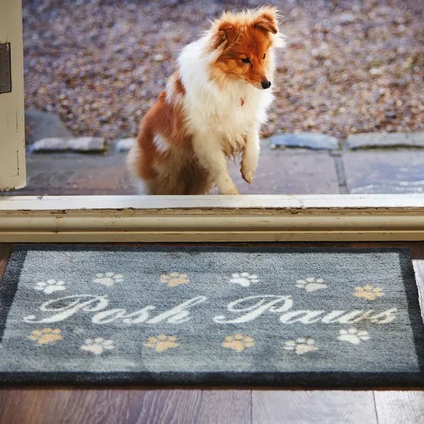 Howler & Scratch POSH PAWS 1 - מחצלת 50X75, תמונה 3