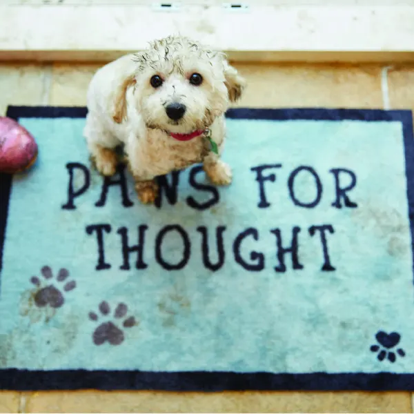 Howler & Scratch THOUGHTS 1 - מחצלת 50X75, תמונה 2