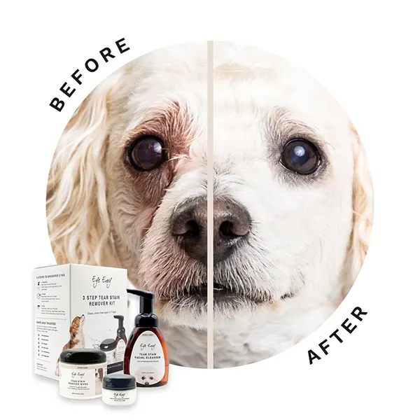 Eye Envy - קיט שלושת השלבים לניקוי כתמי הדמעות 3Step Tear Stain Remover Kit for Dogs, תמונה 2