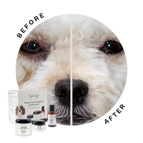 Eye Envy - סט סטרטר להסרת כתמי דמעות לכלבים Dog Tear Stain Remover Starter Kit, תמונה 2