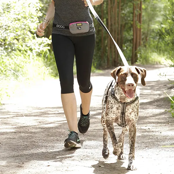 DOOG - פאוץ' מיני רצועה נמתחת אפור וורוד ניאון - MINI STRETCH BELT GREY & NEON PINK, תמונה 4