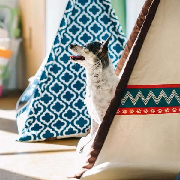 P.L.A.Y - אוהל אינדיאני כחול כהה מרוקאי TEEPEE TENT - MOROCCAN NAVY, תמונה 2