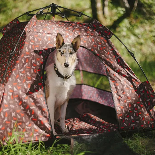 P.L.A.Y - אוהל לכלבים מוקה - SCOUT & ABOUT OUTDOOR TENT MOCHA