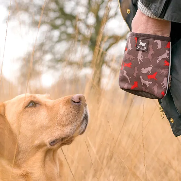 P.L.A.Y - פאוץ' חטיפים - SCOUT & ABOUT COMPACT TRAINING POUCH - MOCHA