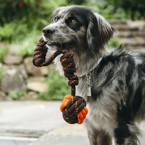 P.L.A.Y - משחק משיכה - חבל SCOUT & ABOUT ROPE TOY TUG BALL S, תמונה 2