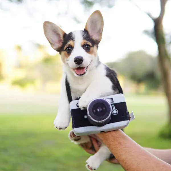 Pet Play - צעצוע בד בצורת מצלמה - ECO Play Globetrotter Collection Camera