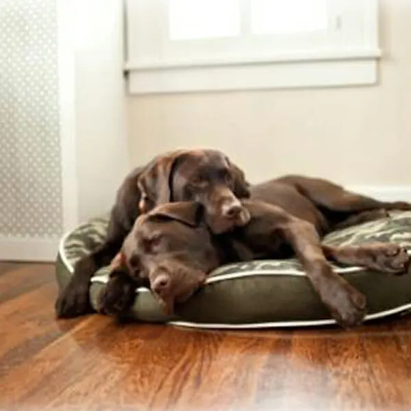 P.L.A.Y - מיטה עגולה צבעי הסוואה ROUND BED - Army Green M, תמונה 2
