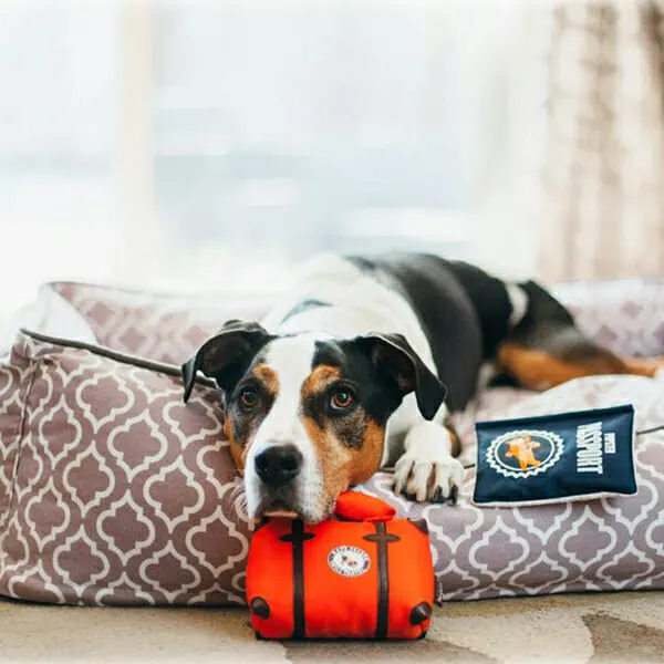 Pet Play - צעצוע בד בצורת תיק טיולים - ECO Play Globetrotter Collection Travel bag