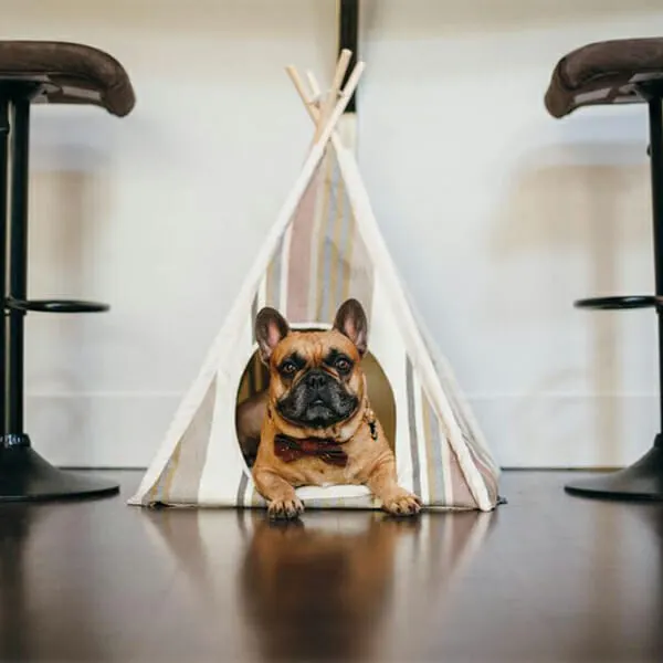 P.L.A.Y - אוהל אינדיאני שפת הים TEEPEE TENT - Horizon, תמונה 4