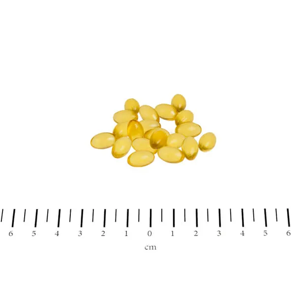 Canina - תוסף לטיפול בעיות בעור ובפרווה Skin Caps, תמונה 2