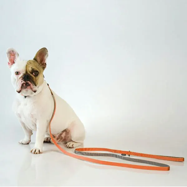 SLEEPYPOD - רצועה SLIM LEASH