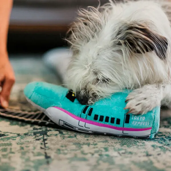 Pet Play - צעצוע בד בצורת רכבת קליע - ECO Play Canine Commute Collection