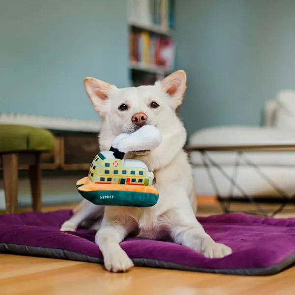 Pet Play - צעצוע בד בצורת מעבורת - ECO Play Canine Commute Collection