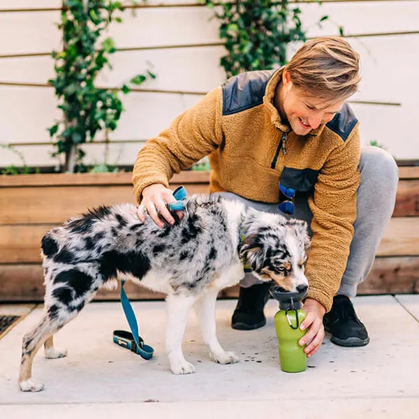 Highwave Auto Dog Mug Leaktight - בקבוק שתיה מתמלא בלחיצה - המקורי ! GREEN KELP, תמונה 2