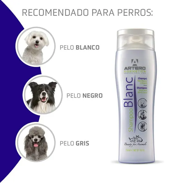 ARTERO – שמפו לפרוות לבנות / שחורות 250מל SHAMPOO BLANC