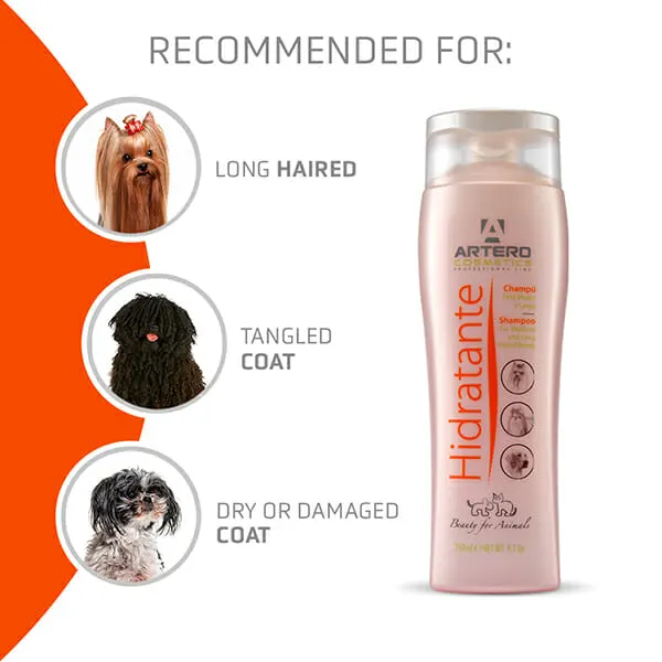 ARTERO – שמפו לחות 250מל – MOISTURIZING SHAMPOO