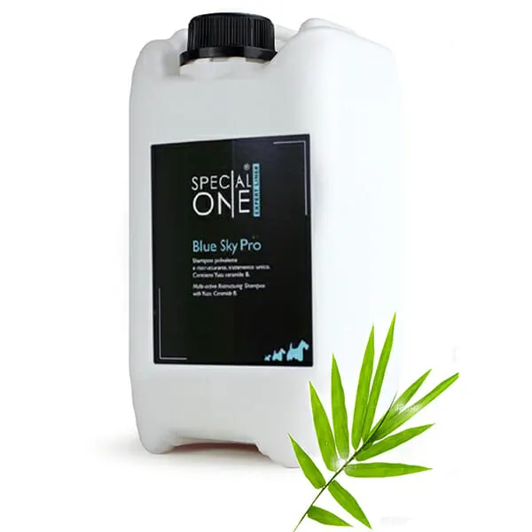 Special One - שמפו 10ל' רב תכליתי לחיטוי עמוק וניקוי עדין Blue Sky Pro Bamboo