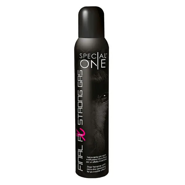 Special One - תרסיס גז לעיצוב והחזקה חזק Final Fix Strong Gas