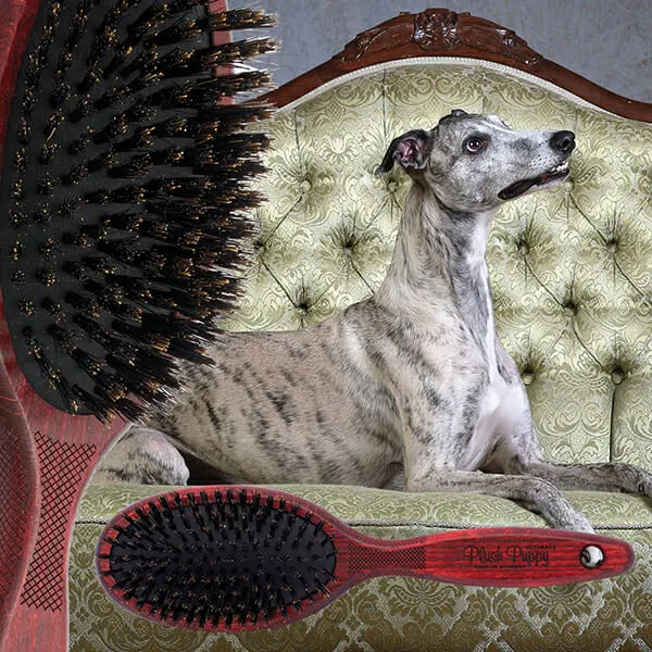Plush Puppy - מברשת 100% זיפי חזיר אולטימטיבית Ultimate Pure Boar Bristle Brush, תמונה 3