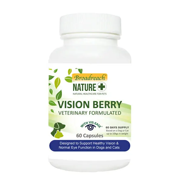 +Broadreach Nature - תוסף מזון לתמיכה בבריאות העין והראייה Vision Berry