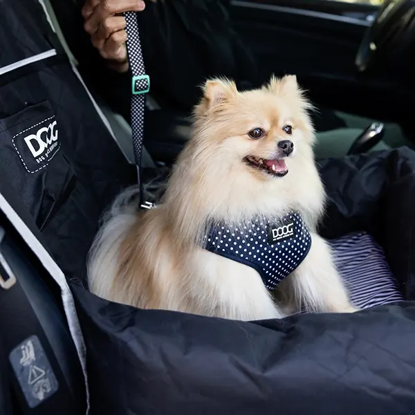 DOOG - מושב בטיחות לרכב Car Seat - BLACK (Small to Medium Breeds), תמונה 2