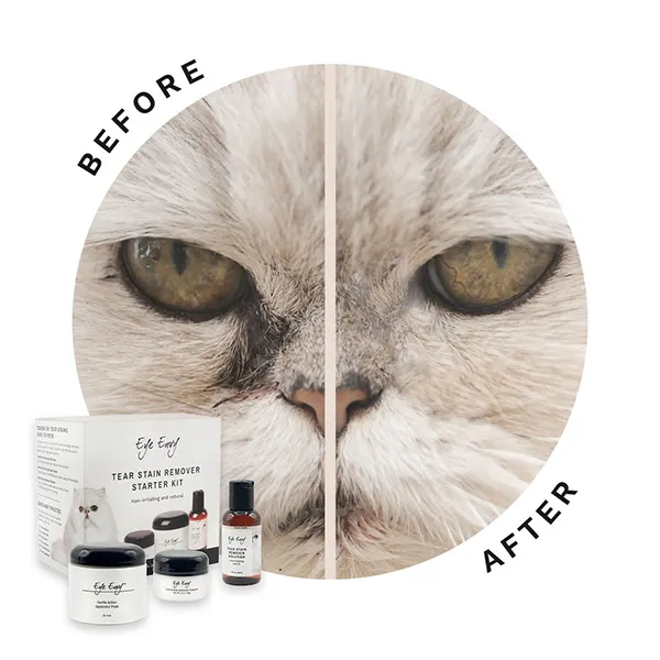 Eye Envy - סט סטרטר להסרת כתמי דמעות לחתולים Cat Tear Stain Remover Starter Kit, תמונה 2