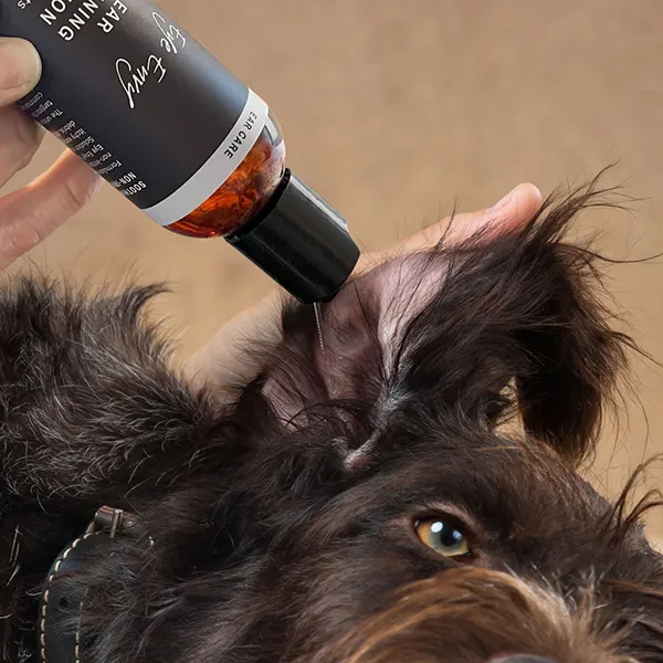 Eye Envy - תמיסת ניקוי אוזניים לכלבים וחתולים Ear Cleaning Solution For Dogs & Cats, תמונה 4
