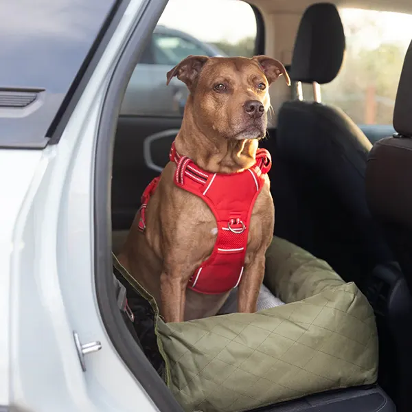 DOOG - מושב בטיחות גדול לרכב Large Car Seat - GREEN, תמונה 3