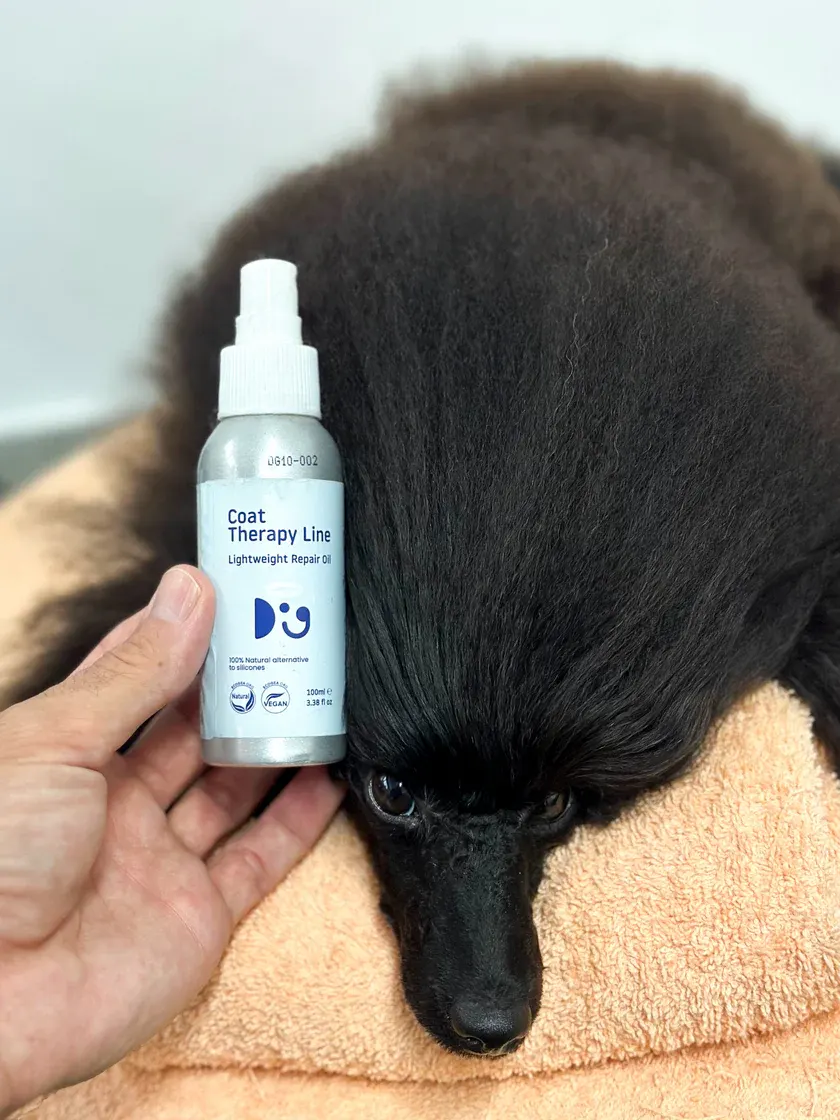 Doglyness - שמן תיקון קל משקל Lightweight Repair Oil 100ml | 100% Natural Alternative to Silicones, תמונה 3