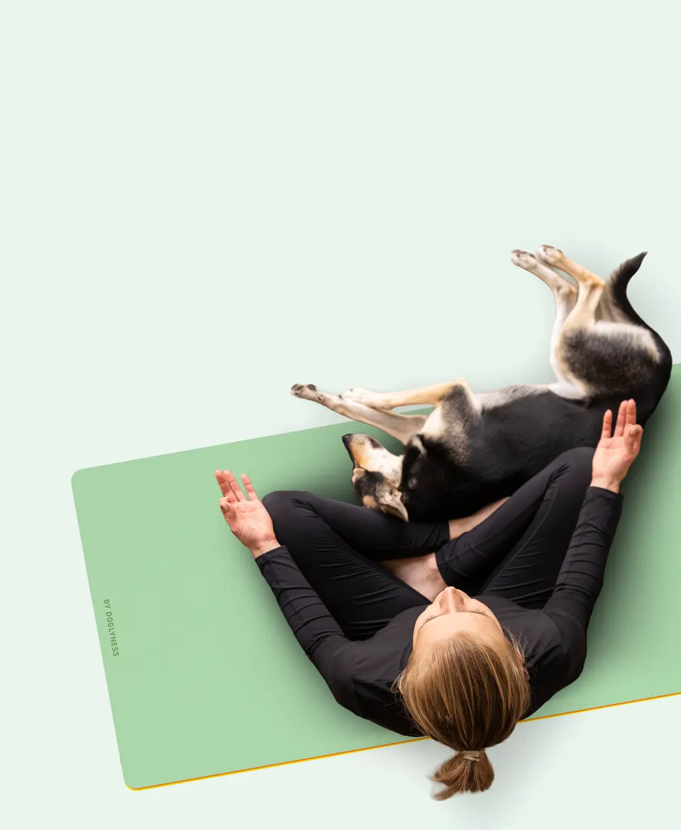Doglyness - מזרן יוגה | נוחות ואחיזה לתרגול מעולה Doglymat™ Yoga Mat | Comfort & Grip for a Superior Practice, תמונה 4
